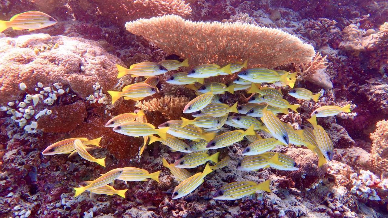 Wow Inn Keyodhoo Keyodhoo  Exteriör bild
