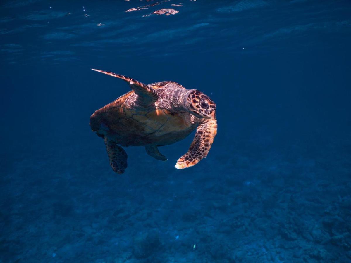 Wow Inn Keyodhoo Keyodhoo  Exteriör bild