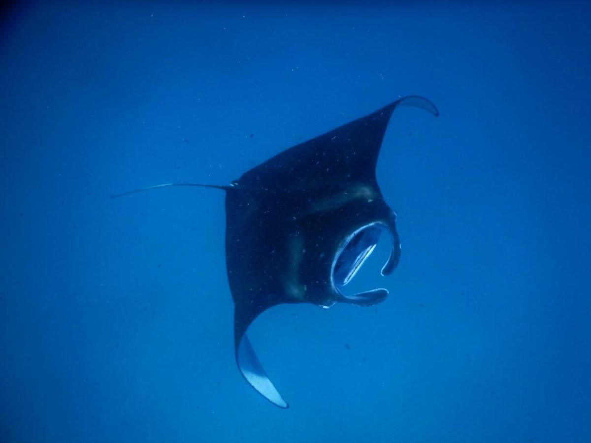 Wow Inn Keyodhoo Keyodhoo  Exteriör bild