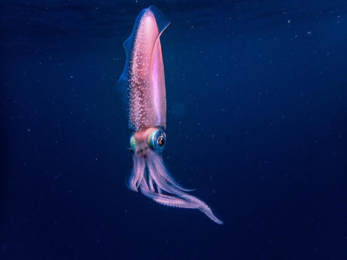 Wow Inn Keyodhoo Keyodhoo  Exteriör bild